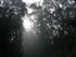 photogallery1