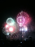 photogallery1
